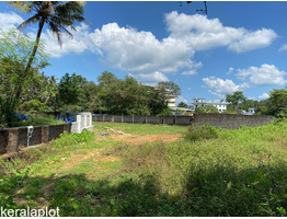 Plots for sale in Angamaly Town