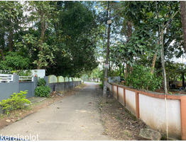 Plots for sale in Angamaly-Thuravur