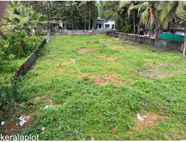 Plots for sale in Angamaly-Thuravur