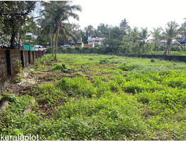 Plots for sale in Angamaly-Thuravur