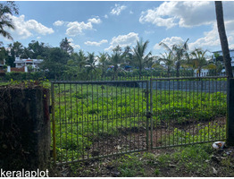 Plots for sale in Angamaly-Thuravur