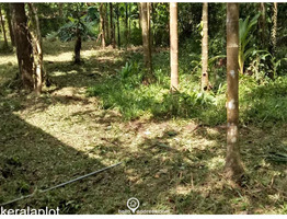 Residential Land for Sale in Pettah, Ernakulam town