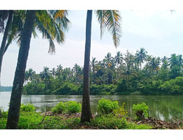 110 cent plain land sale at Thrissur,Kodungallur