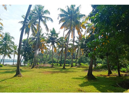 110 cent plain land sale at Thrissur,Kodungallur