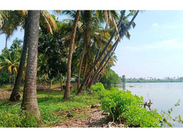 110 cent plain land sale at Thrissur,Kodungallur