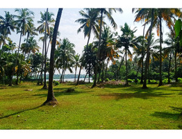 110 cent plain land sale at Thrissur,Kodungallur