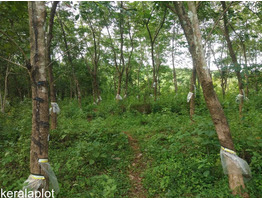 2 acre land for sale in ongallur ,palakkad