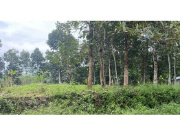 50 Cent  Land  for Sale at ilavumthitta,Pathanamthitta