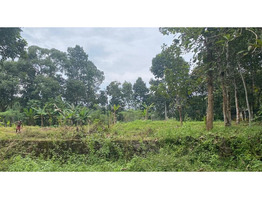 50 Cent  Land  for Sale at ilavumthitta,Pathanamthitta