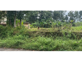 50 Cent  Land  for Sale at ilavumthitta,Pathanamthitta