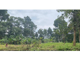 50 Cent  Land  for Sale at ilavumthitta,Pathanamthitta