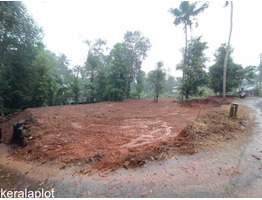 1acre 10 cent land for sale at kolanchery ernakulam