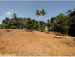 1acre 10 cent land for sale at kolanchery ernakulam