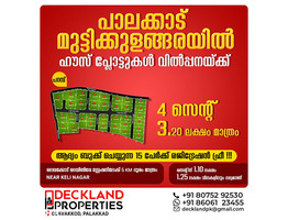 4 cent 3.20 lakh only at  muttikulagara palakkad