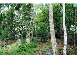 53.5 cent land for sale at kuruppanthara manjoor kottayam