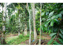 53.5 cent land for sale at kuruppanthara manjoor kottayam