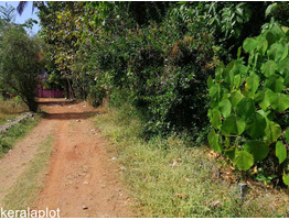 Residential Land for Sale in Patturaickal Thrissur.