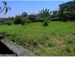 Residential Land for Sale in Palakkal Ammadam main road, Thrissur