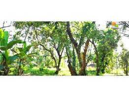 1.5 acre land rent at  Marathakkara, Puzhampallam,Thrissur