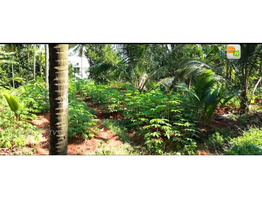 1.5 acre land rent at  Marathakkara, Puzhampallam,Thrissur