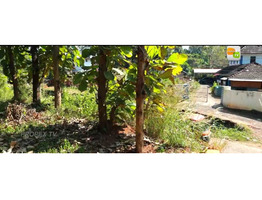 1.5 acre land rent at  Marathakkara, Puzhampallam,Thrissur