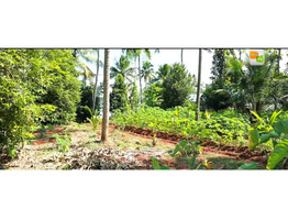 1.5 acre land rent at  Marathakkara, Puzhampallam,Thrissur