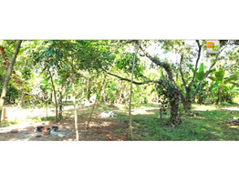 1.5 acre land rent at  Marathakkara, Puzhampallam,Thrissur