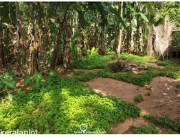 33 cent  Residential Land for Sale in Vizhinjam,  Trivandrum