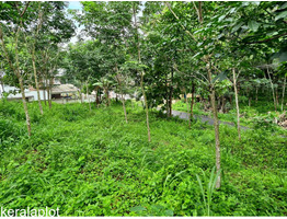 20 cent land for sale  at kottaraklara kollam