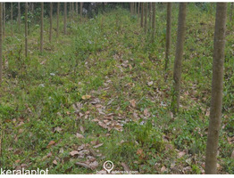 30cent land for sale at  Arakkunnam Ernakulam