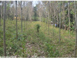 30cent land for sale at  Arakkunnam Ernakulam