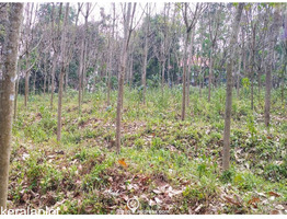 30cent land for sale at  Arakkunnam Ernakulam