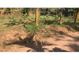 35 cent land for sale at kadathuruthi kottayam