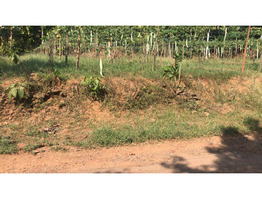 35 cent land for sale at kadathuruthi kottayam