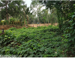 10 cent land ideal for house plot near karimannoor