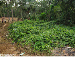 10 cent land ideal for house plot near karimannoor