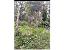 Plot for sale