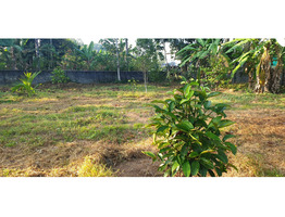 1acre land for sale by plots at Pullad, Pathanamthitta Dist