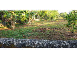 1acre land for sale by plots at Pullad, Pathanamthitta Dist