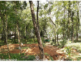 105 cent land for sale at pala kottayam