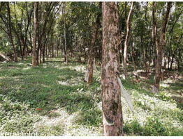 105 cent land for sale at pala kottayam