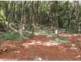 105 cent land for sale at pala kottayam