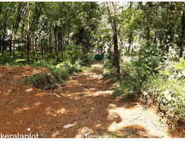 105 cent land for sale at pala kottayam