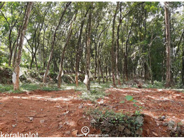 105 cent land for sale at pala kottayam