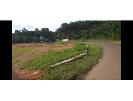 22cents Land for Sale in Aryankavu, Ernakulam