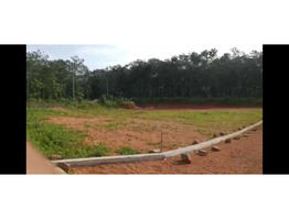 22cents Land for Sale in Aryankavu, Ernakulam