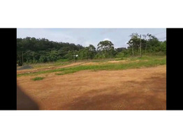 22cents Land for Sale in Aryankavu, Ernakulam