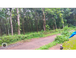 1.5 acres land & 1 acres land for sale near mokkanoor, angamaly