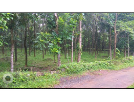 1.5 acres land & 1 acres land for sale near mokkanoor, angamaly