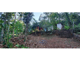 Land & House for Sale  -  Madappally, Kottayam